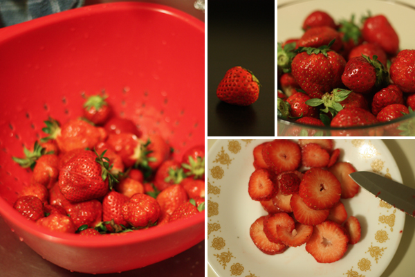 Berries berries everywhere
