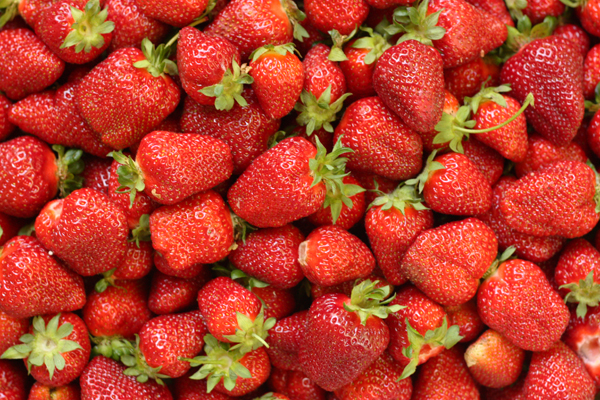 Berries berries everywhere