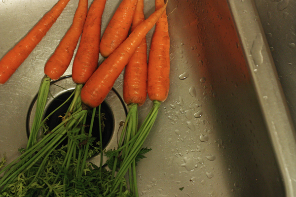 Carrots