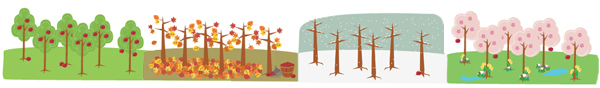 The Seasons Pass