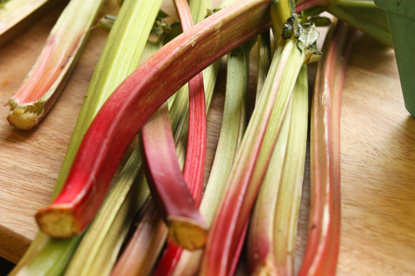 NOT celery or swiss chard