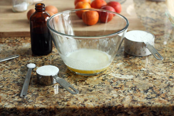 Starting the crust