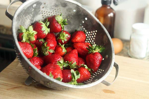 Pretty pretty berries