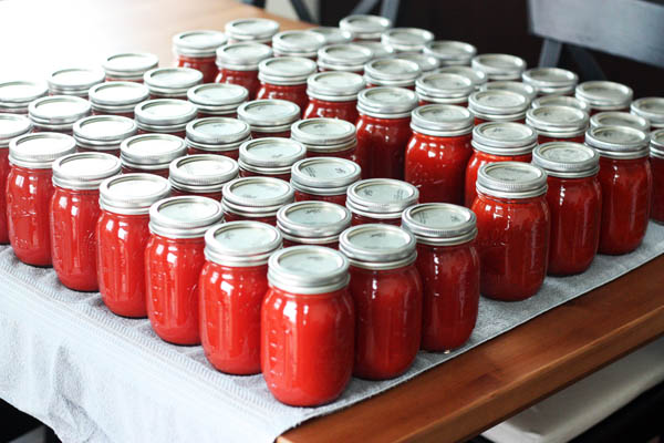 All the tomato sauce