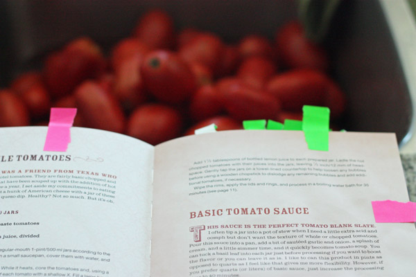Sinkful of tomatoes