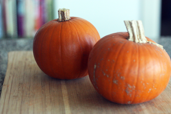 Sugar Pumpkins