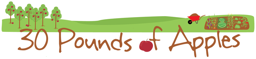 30 Pounds of Apples 30 Pounds of Apples