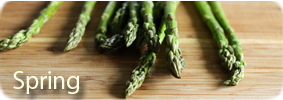 Spring Recipes